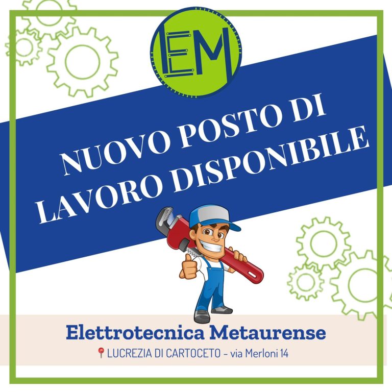 Diagnostica riparazione motori elettrici, Home, Elettrotecnica Metaurense